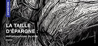 lien vers l'exposition La taille d'épargne : métamorphose du vide