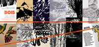 lien vers l'exposition "Bois"